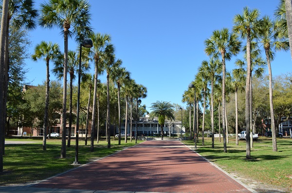 A Day At The University Of Florida